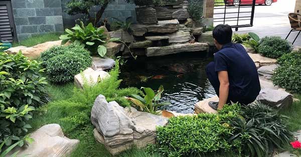 top-10-ho-ca-koi-dep-man-nhan-khien-ban-me-man-11
