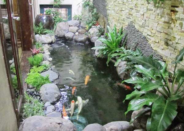 top-10-ho-ca-koi-dep-man-nhan-khien-ban-me-man-6