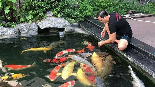 top-10-ho-ca-koi-dep-man-nhan-khien-ban-me-man-8