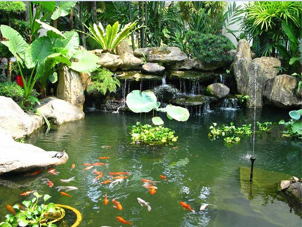15-mau-san-vuon-nha-que-dep-ban-khong-nen-bo-lo